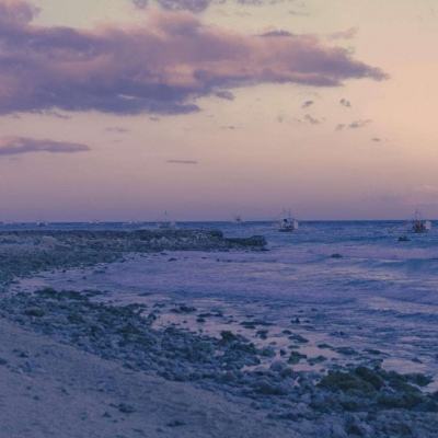 365平台下载下载手机版