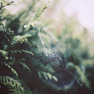 半岛综合娱乐app手机app下载截图